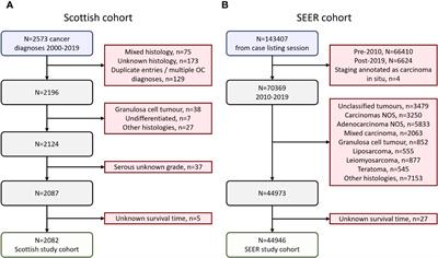 Ovarian carcinosarcoma is highly aggressive compared to other ovarian cancer histotypes